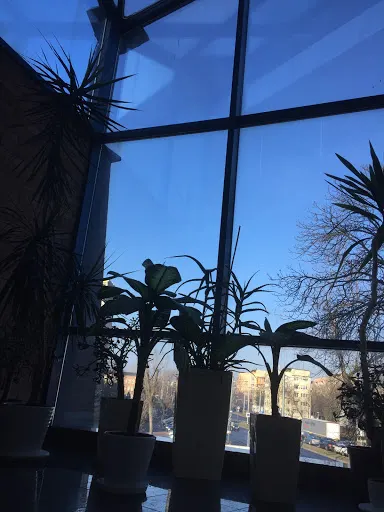 Memtor Marketing - Reklama i Pozycjonowanie